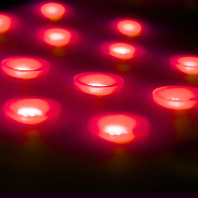 LED Neck and Décolleté Device V2